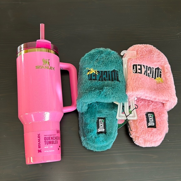 Stanley Other - Wicked x Stanley Glinda 40 oz plus target exclusive slippers! Perfect gift NWT